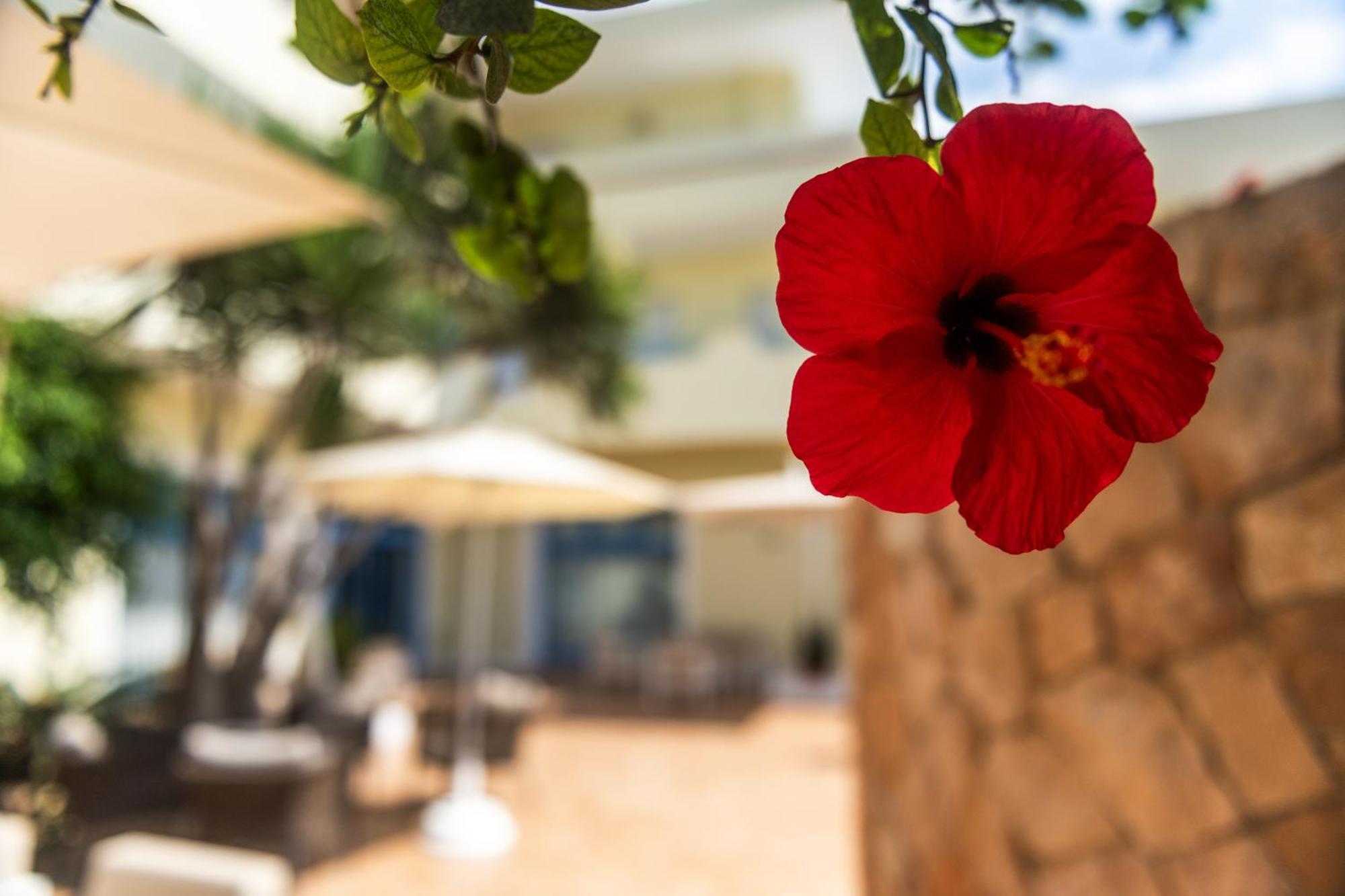 Hotel Baia Turchese LMP Exteriér fotografie